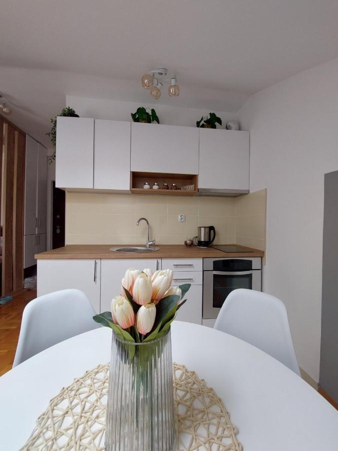 Soul Stan Na Dan Apartment Novi Sad Exterior photo